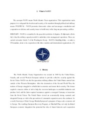 NATO essay 2