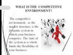 Competitive environment assessment 3