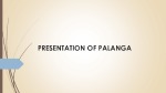 Presentation of Palanga 1