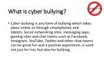 Virtual Cyber bullying 3