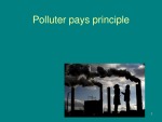 Polluter pays principle 1