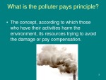 Polluter pays principle 3