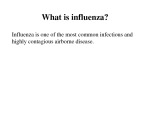 Influenza - flu 2