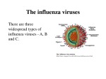 Influenza - flu 3