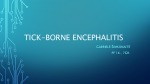 Tick - borne encephalitis 1