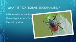 Tick - borne encephalitis 3