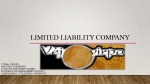 Limited liability company 1