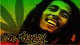 About Bob Marley