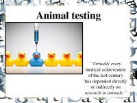 Animal testing discussion 1