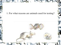 Animal testing discussion 3