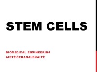 Stem cells 1