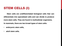 Stem cells 2