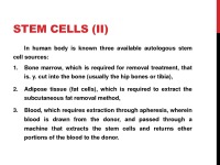 Stem cells 3