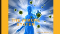 Immune system 1