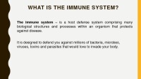 Immune system 2