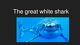 The great white shark powerpoint