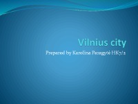 Vilnius city 1