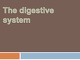 Digestive system presentation