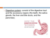 Digestive system presentation 3