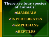 Animals presentation 2