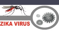 Zika virus 1