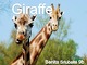 Giraffe presentation