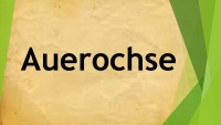 Auerochse presentation 1