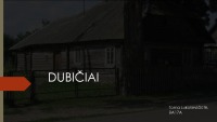 Dubičiai presentation 1