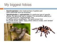 Fears and phobias presentation 3