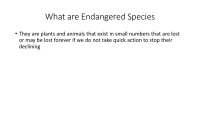 Endangered species project 2