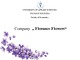 My company „Florance Flowers“