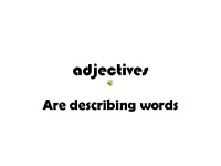 Adjectives 1