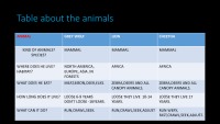 Slides about animals 6
