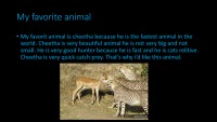 Slides about animals 8