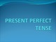 Present perfect tense slides