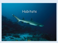 Habitats slides 1