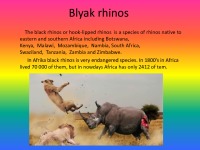 Black Rhinos slides 2