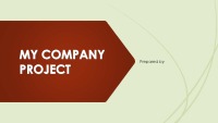 My company project slides 1