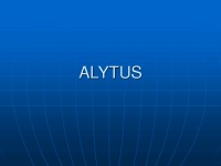 City Alytus slides 1