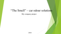 Car odor business presentation 1