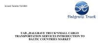 Small cargo transportation services introduction to baltic countries market 1