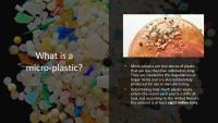 Plastic and micro-plastics in the environment 3