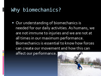 Biomechanics slides 11