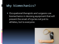 Biomechanics slides 13