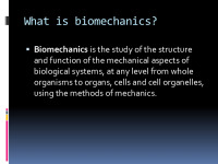 Biomechanics slides 2