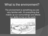 Our environment presentation 2