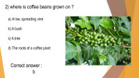 Slides on coffee: 10 facts about coffee 3