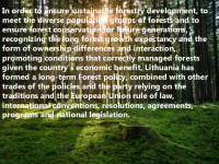 Presentation on Forest protection 2