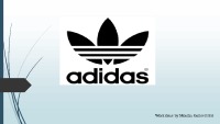 Adidas: company services and the products it produces 1