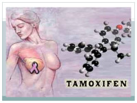 Carcinogens: tamoxifen and dioxin presentation 2